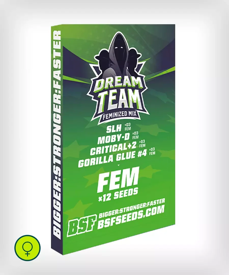Dream Team Feminized Mix - 12 sementes
