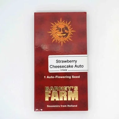 Strawberry Cheesecake
