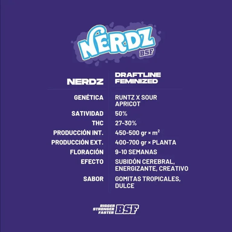 Nerdz Bsf 3