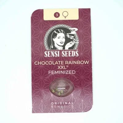 Chocolate Rainbow Xxl 2