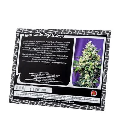 Sweet Amnesia Haze Xl 5
