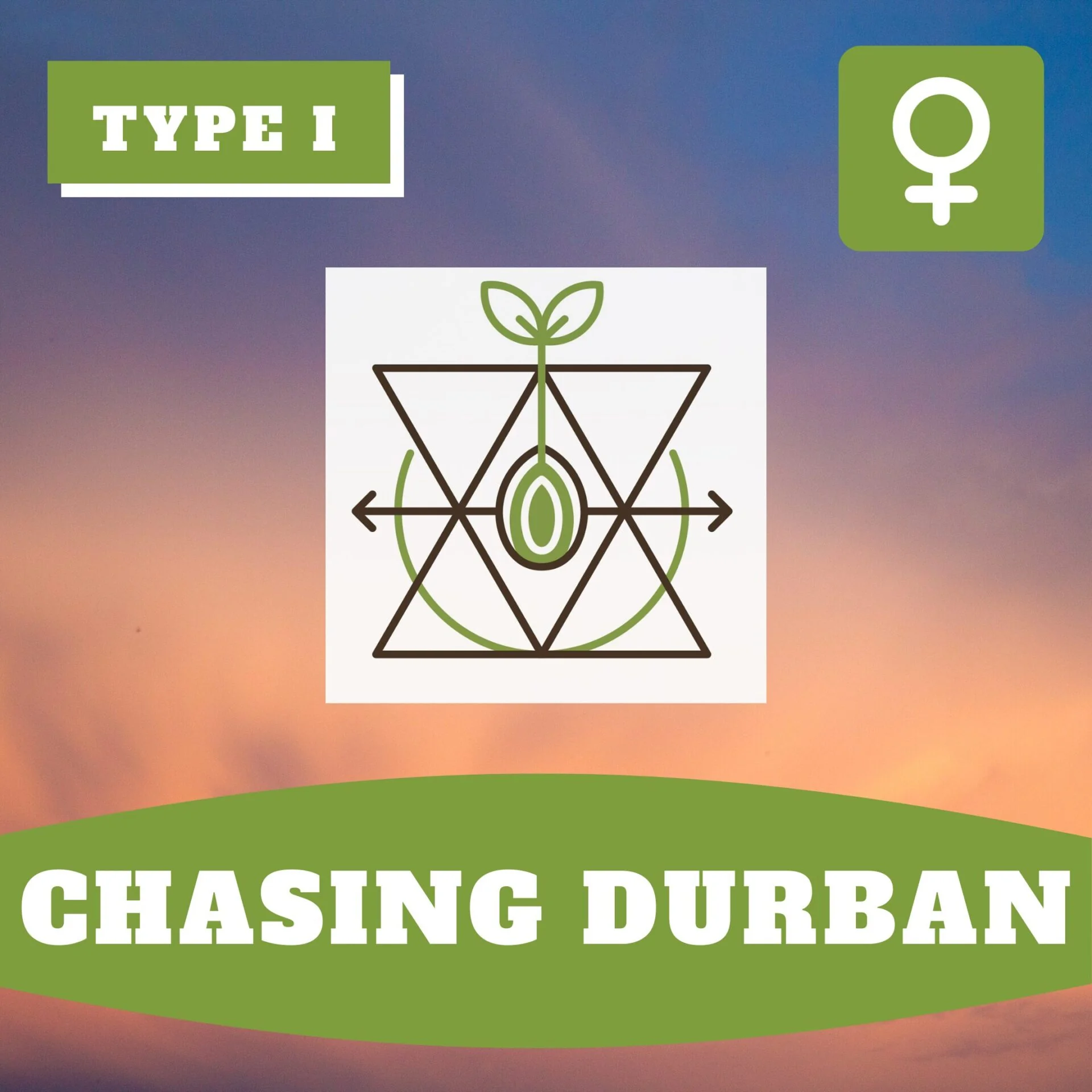 Chasing Durban Thcv