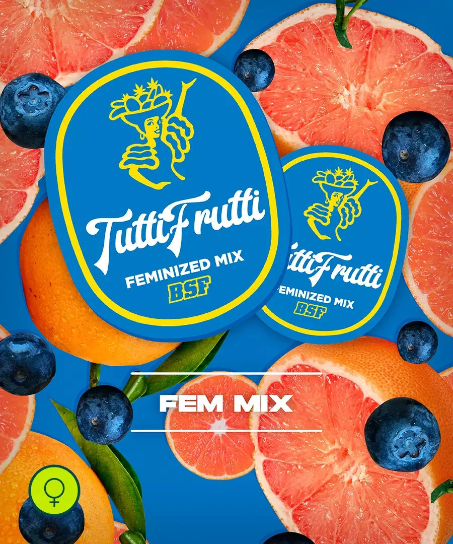 Tutti Frutti Feminized Mix - 12 sementes