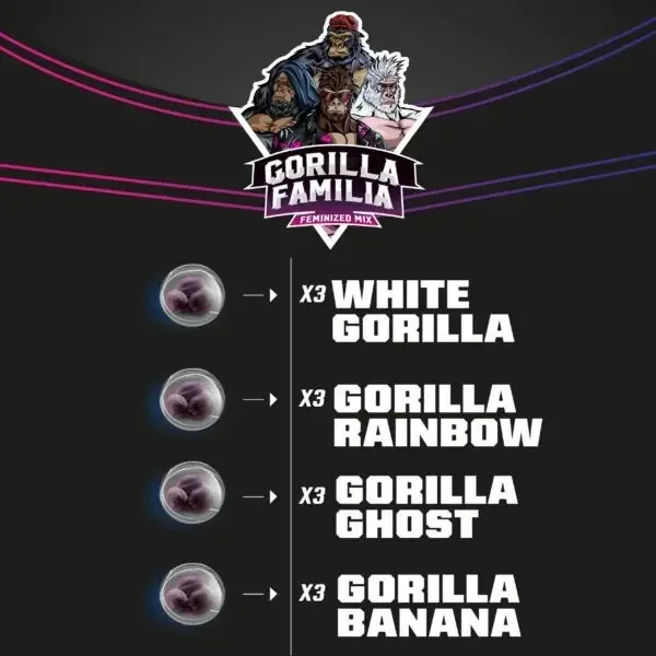 Gorilla Familia Mix Fot Bsf Com 2