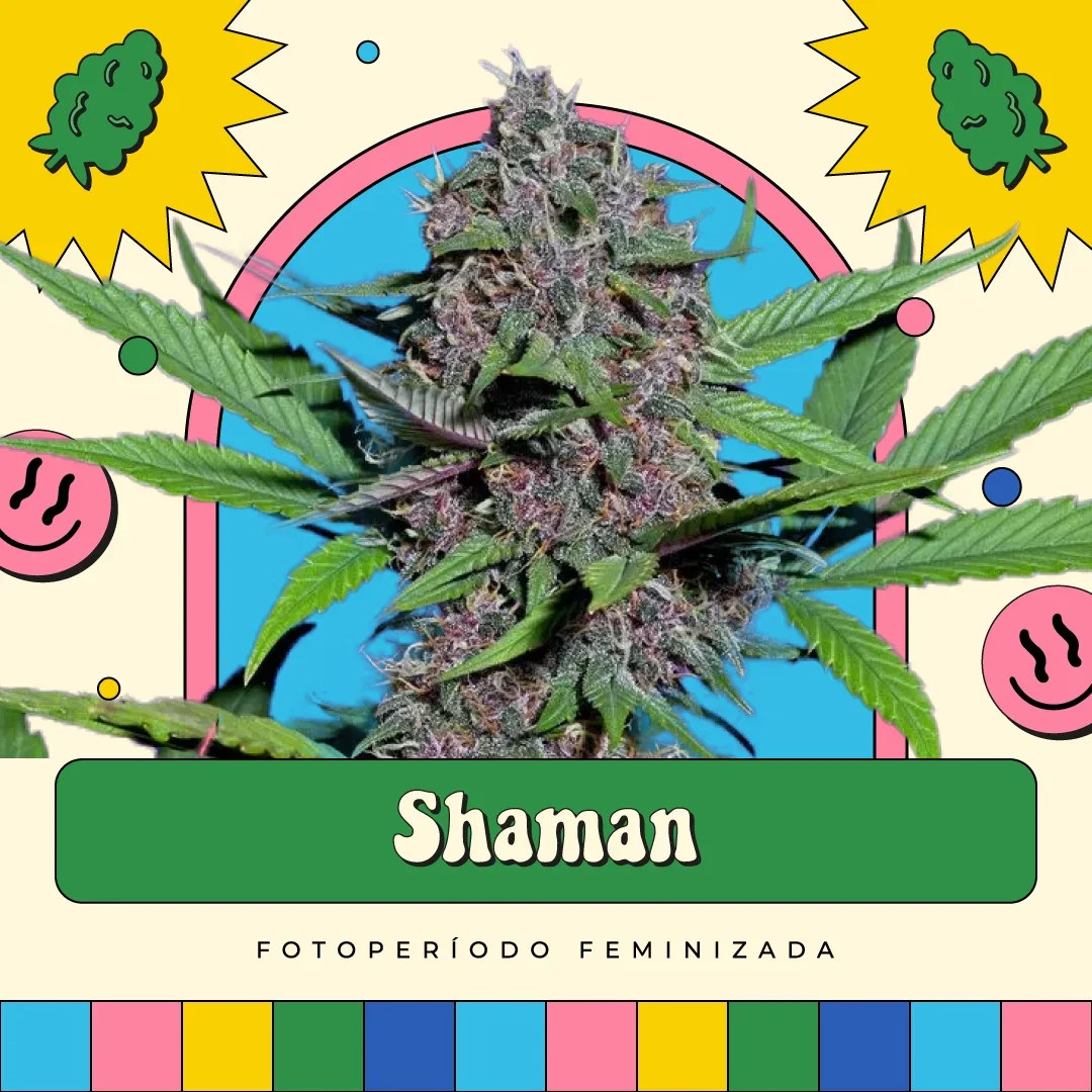Shaman 4