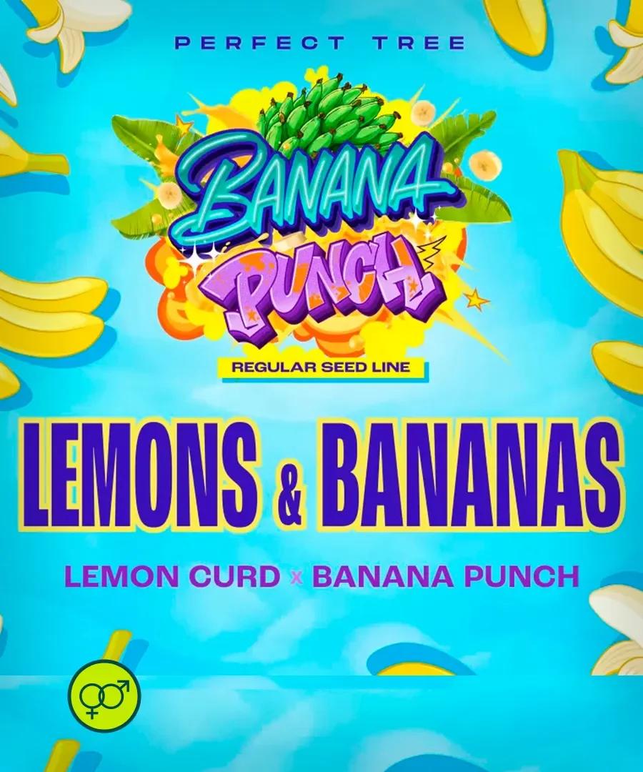 Lemons Bananas