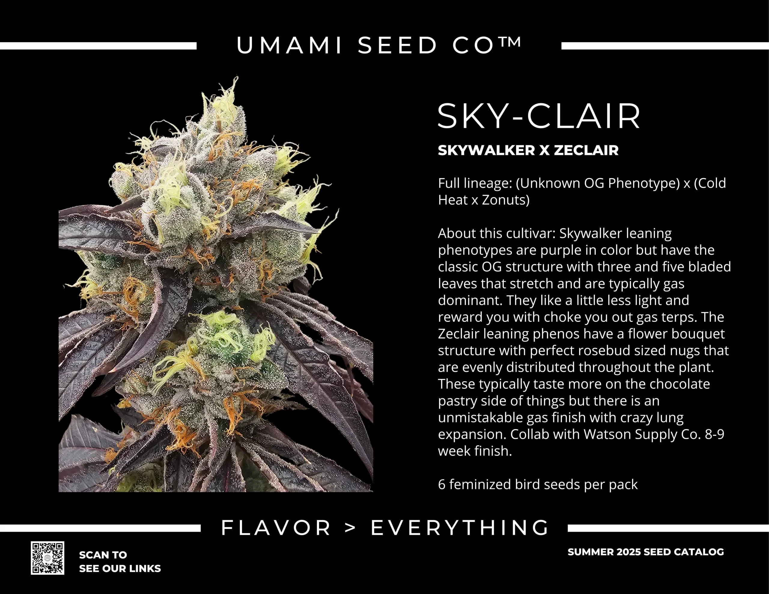 Sky Clair 3