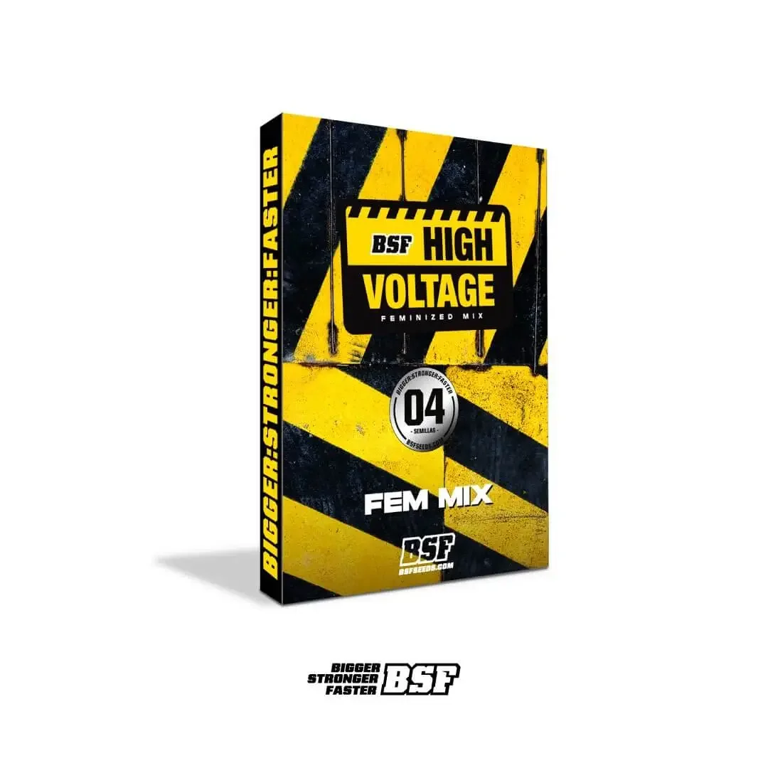 High Voltage Mix Feminizada – BSF