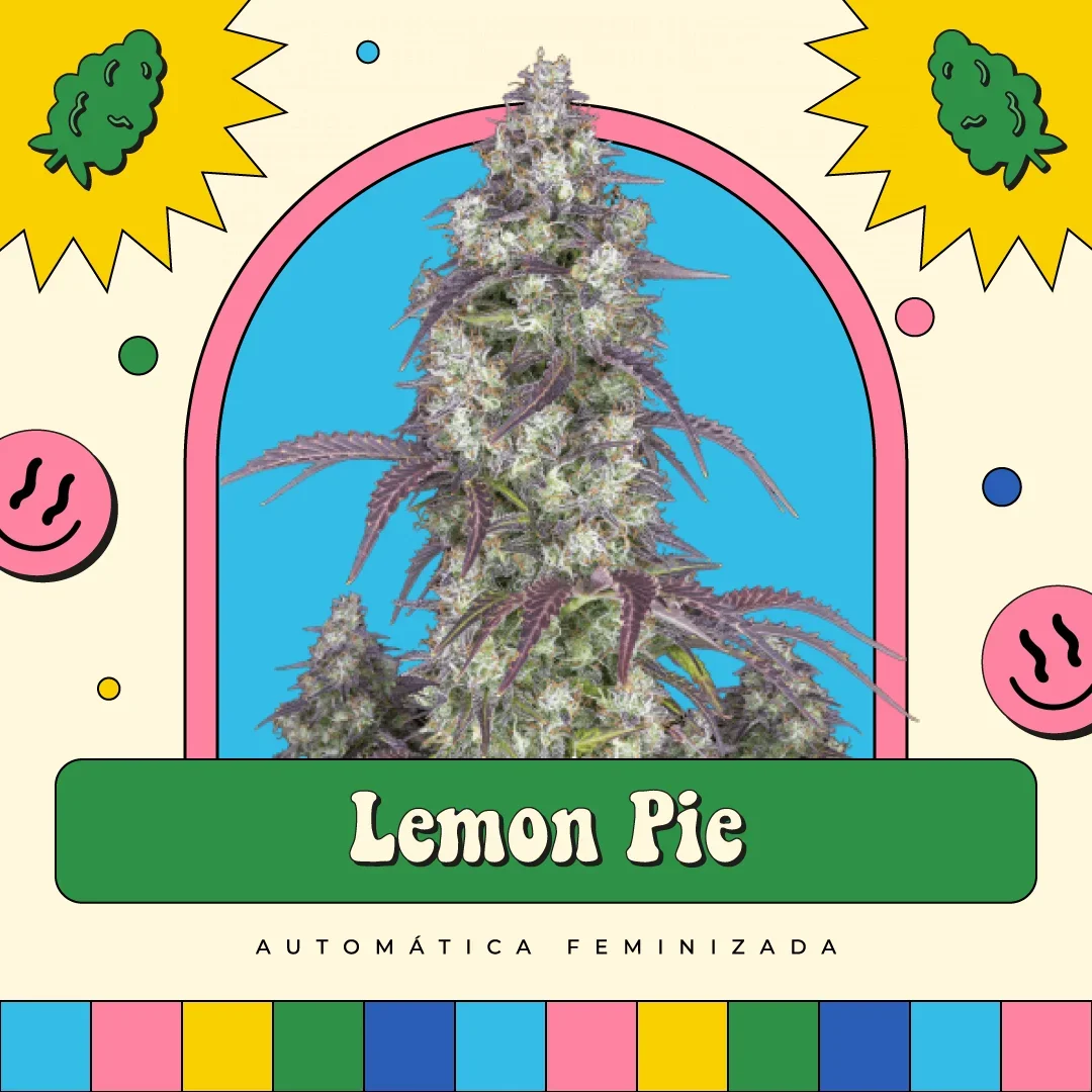 Lemon Pie