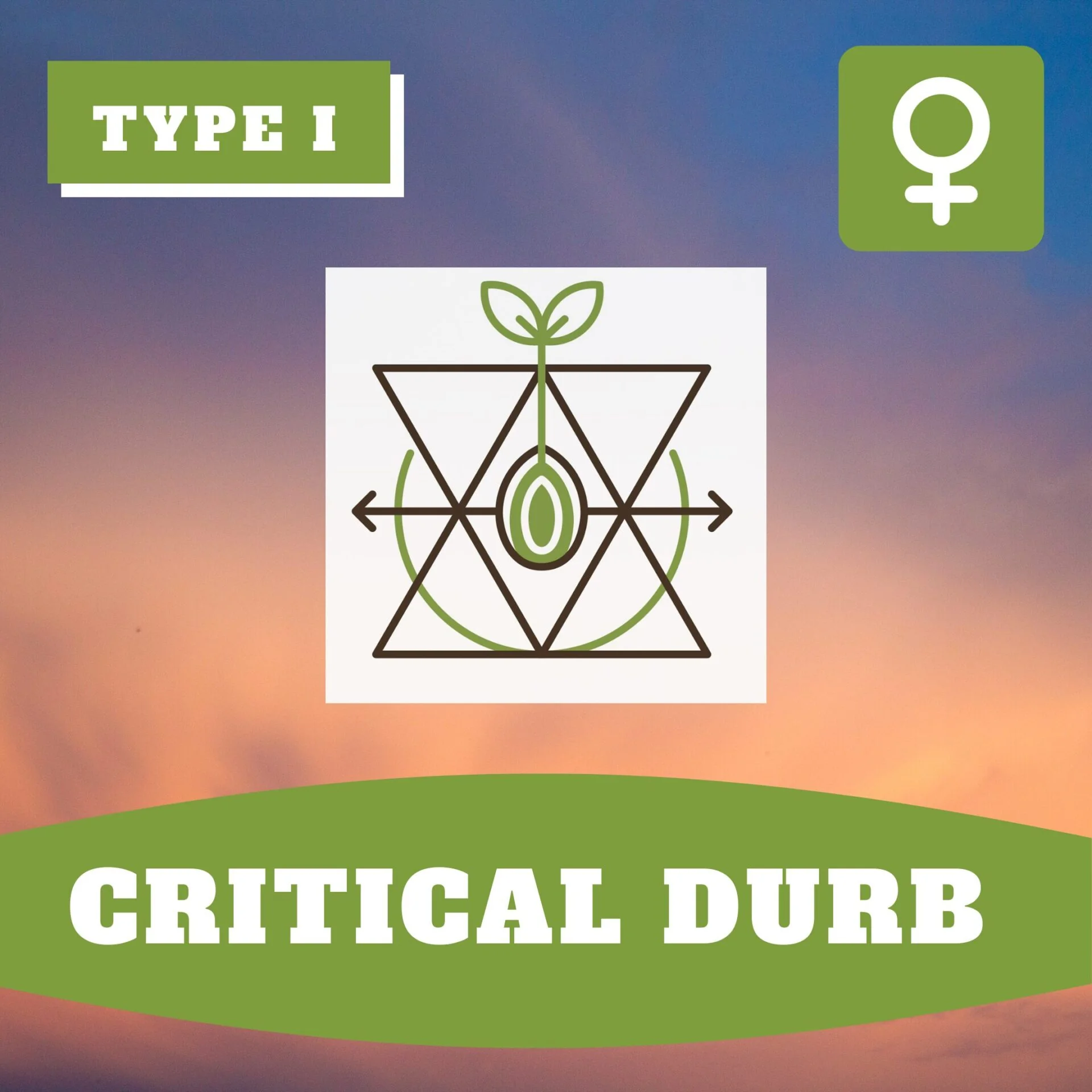 Critical Durb Thcv
