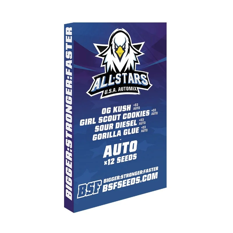 All Stars Usa 2
