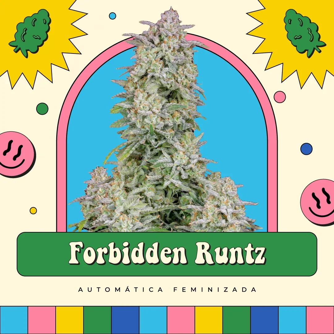 Forbidden Fruit