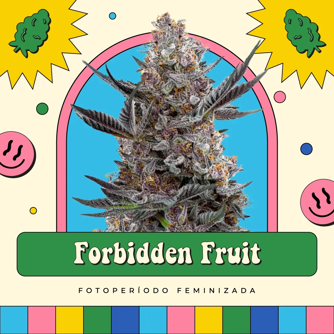 Forbidden Fruit