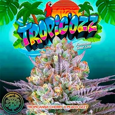 Tropic Ozz