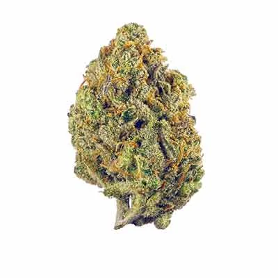 Strawberry Haze 2