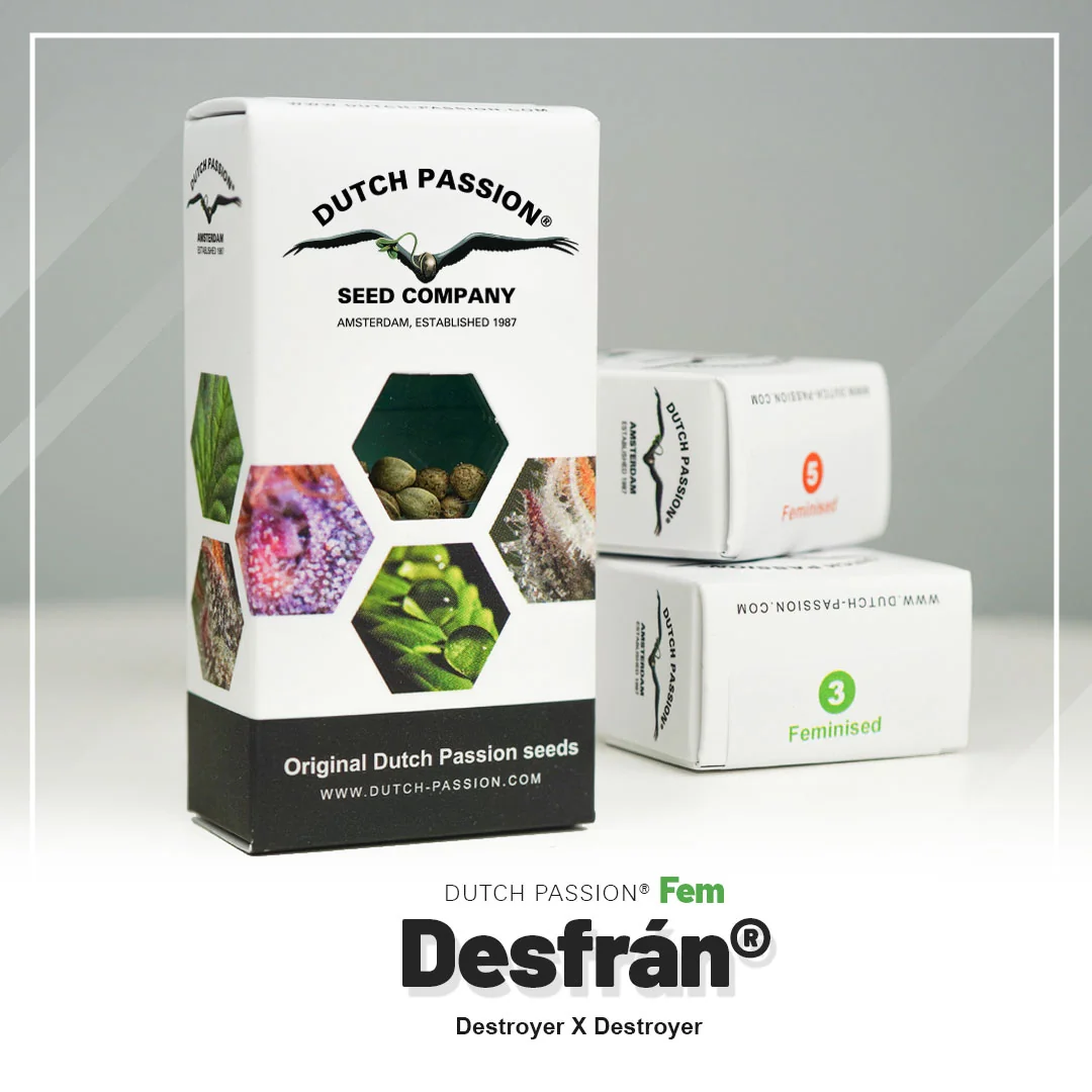 Desfran