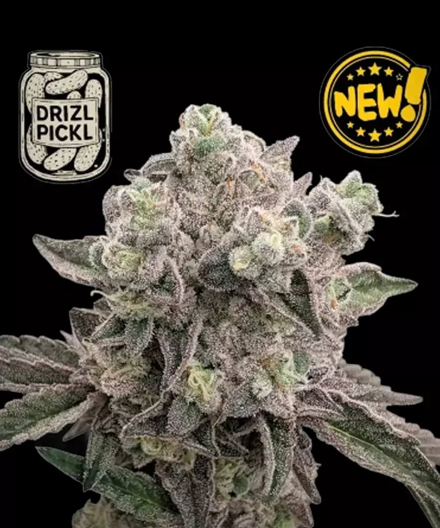 Drizl Pickl