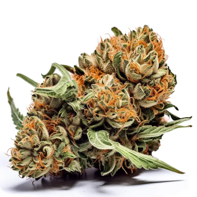 Mango Kush