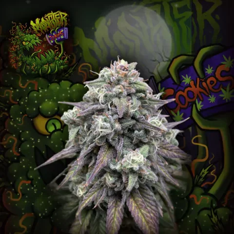 Monster Cookies 2