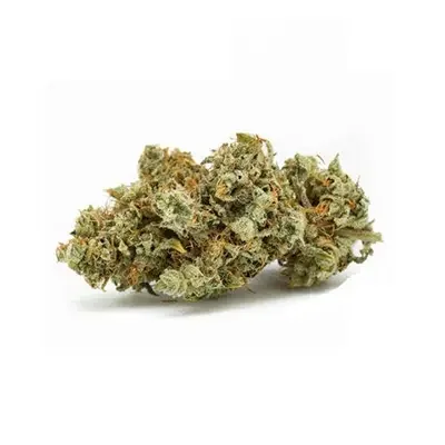 Gg 48 2