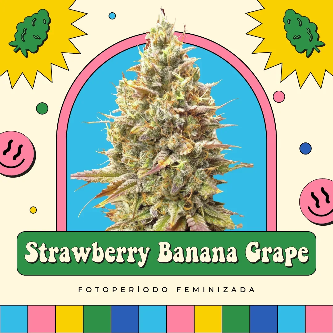 Strawberry Banana