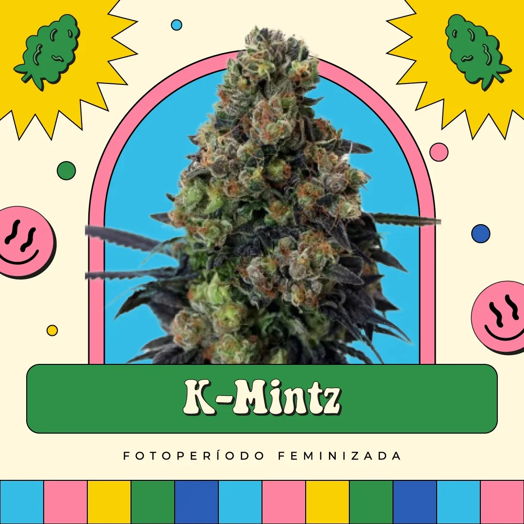 Kmintz