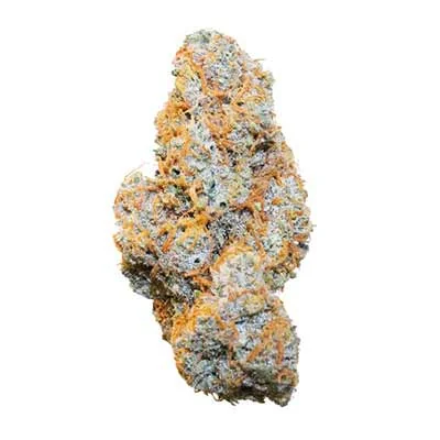 Apple Fritter 2