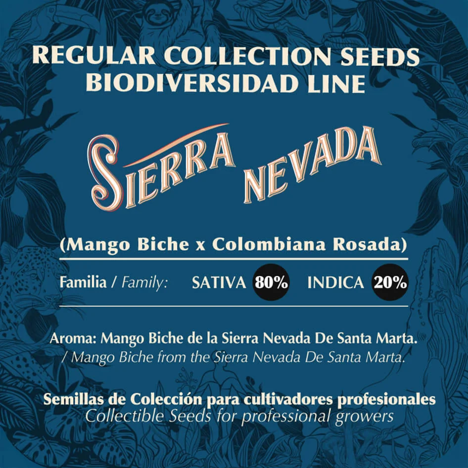 Sierra Nevada 2
