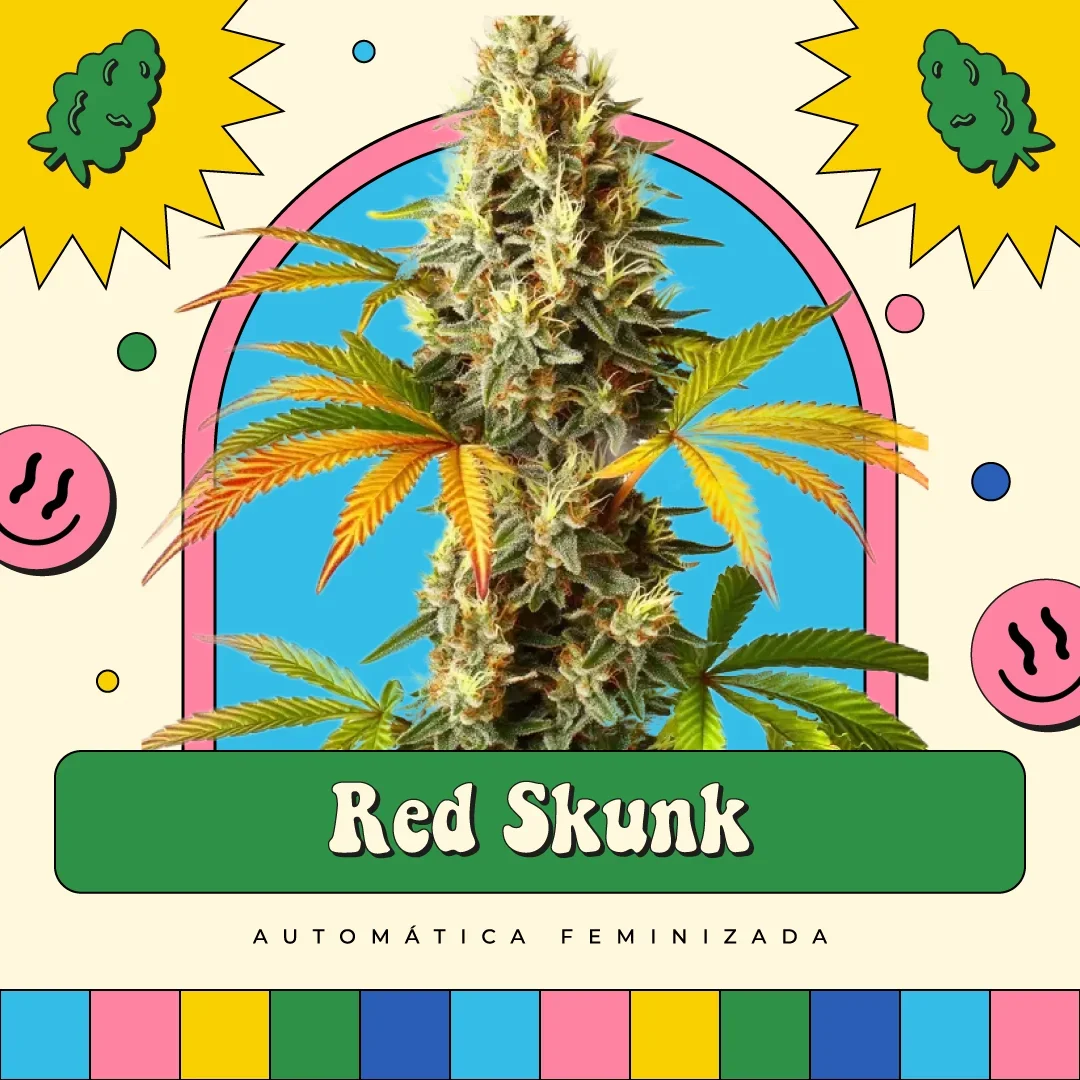 Red Skunk