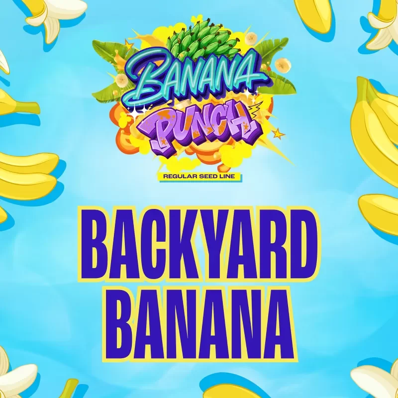 Backyard Banana 5