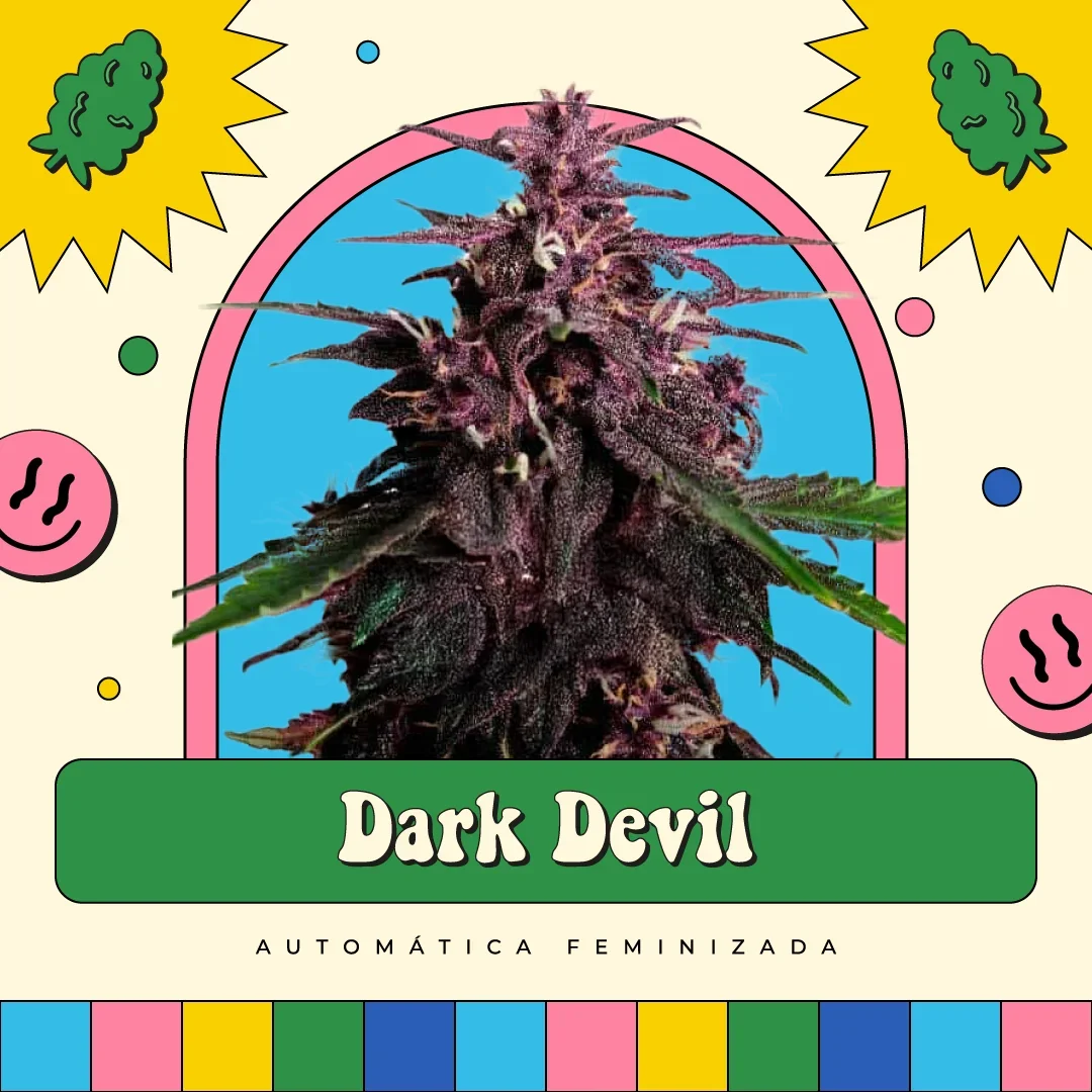 Dark Devil
