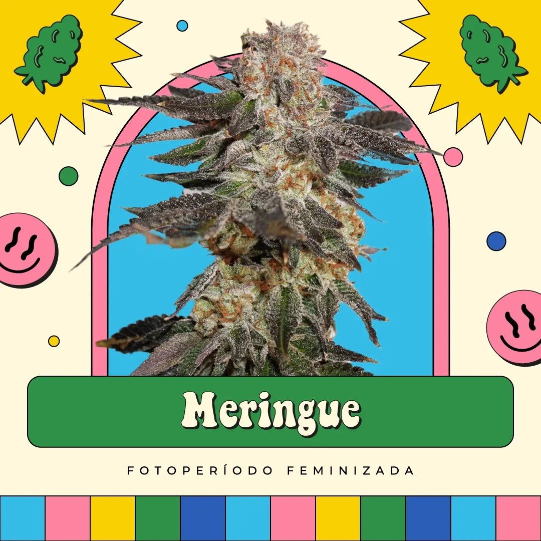 Meringue