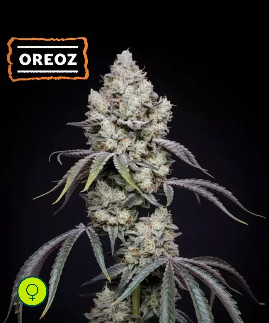 Oreoz