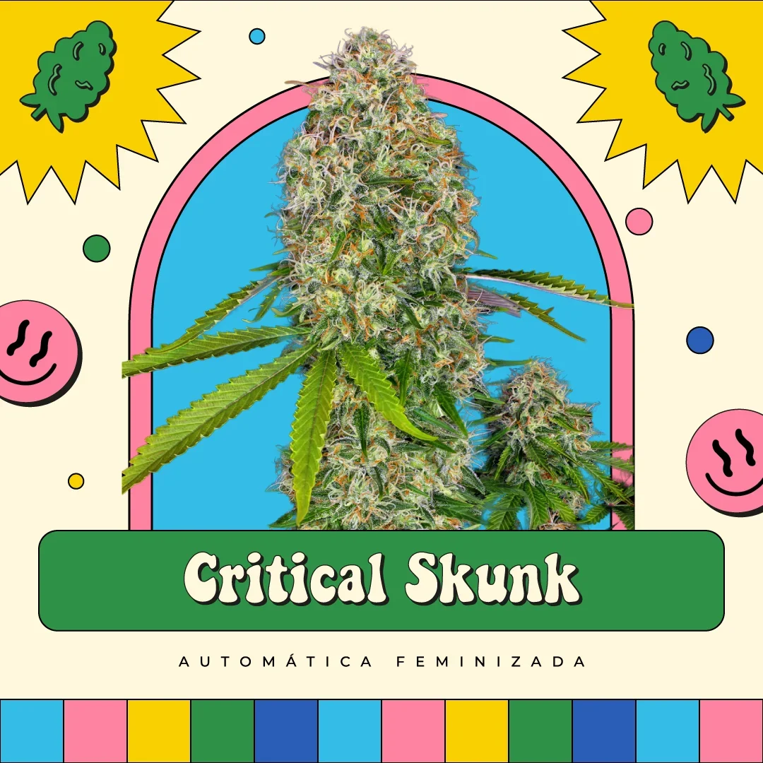 Critical Skunk