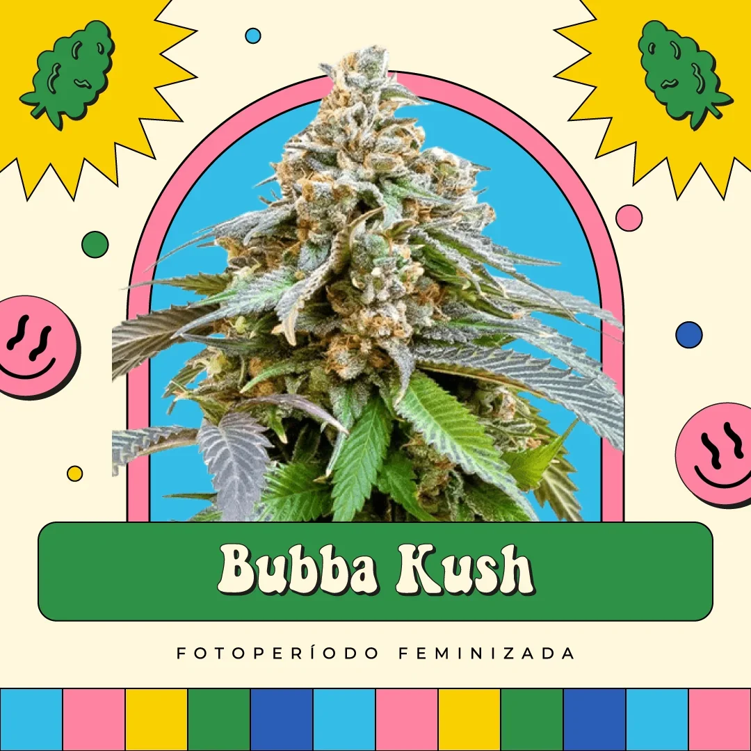 Bubba Kush