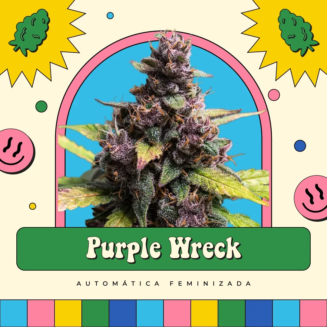 Purple Wreck