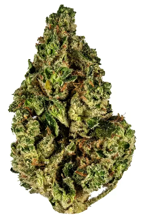 Cbd Evolution 2