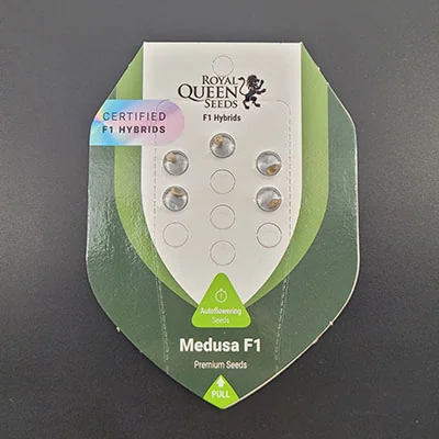 Medusa F1
