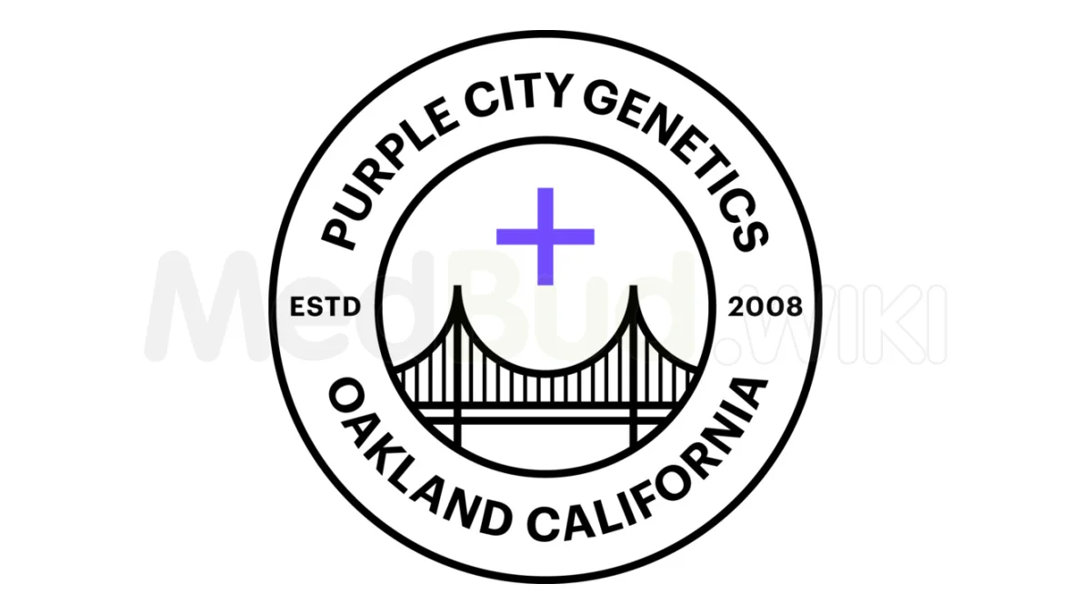 Bob87 Purple City Genetics 3