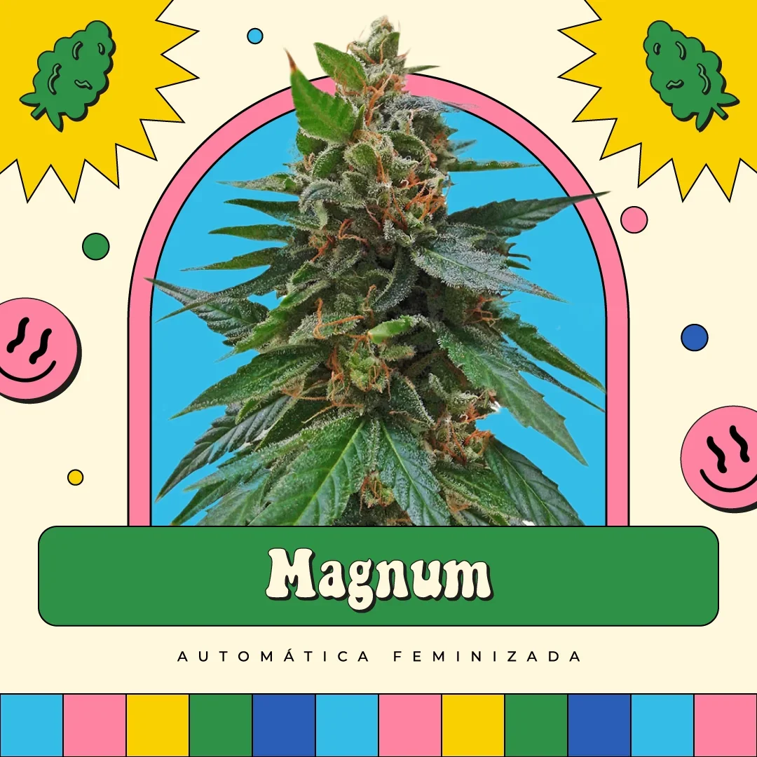 Magnum