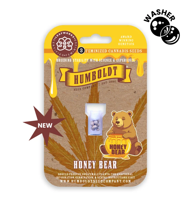 Honey Bear