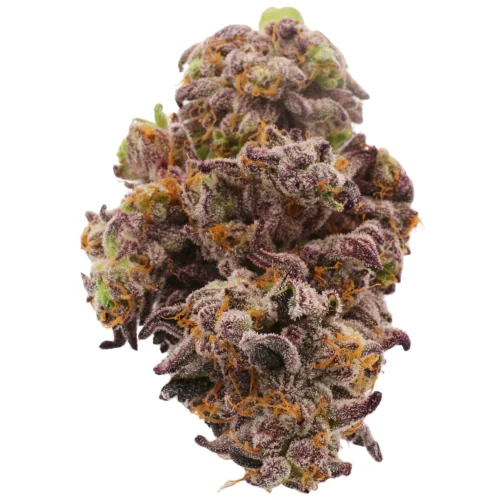 Dragon Fruit 3