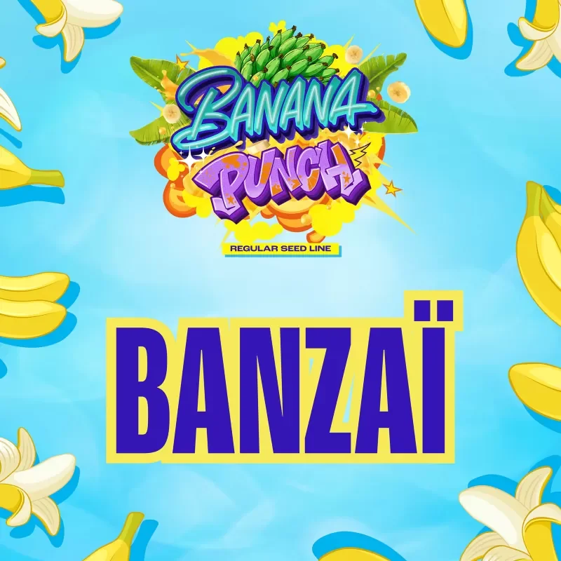 Banzai 3