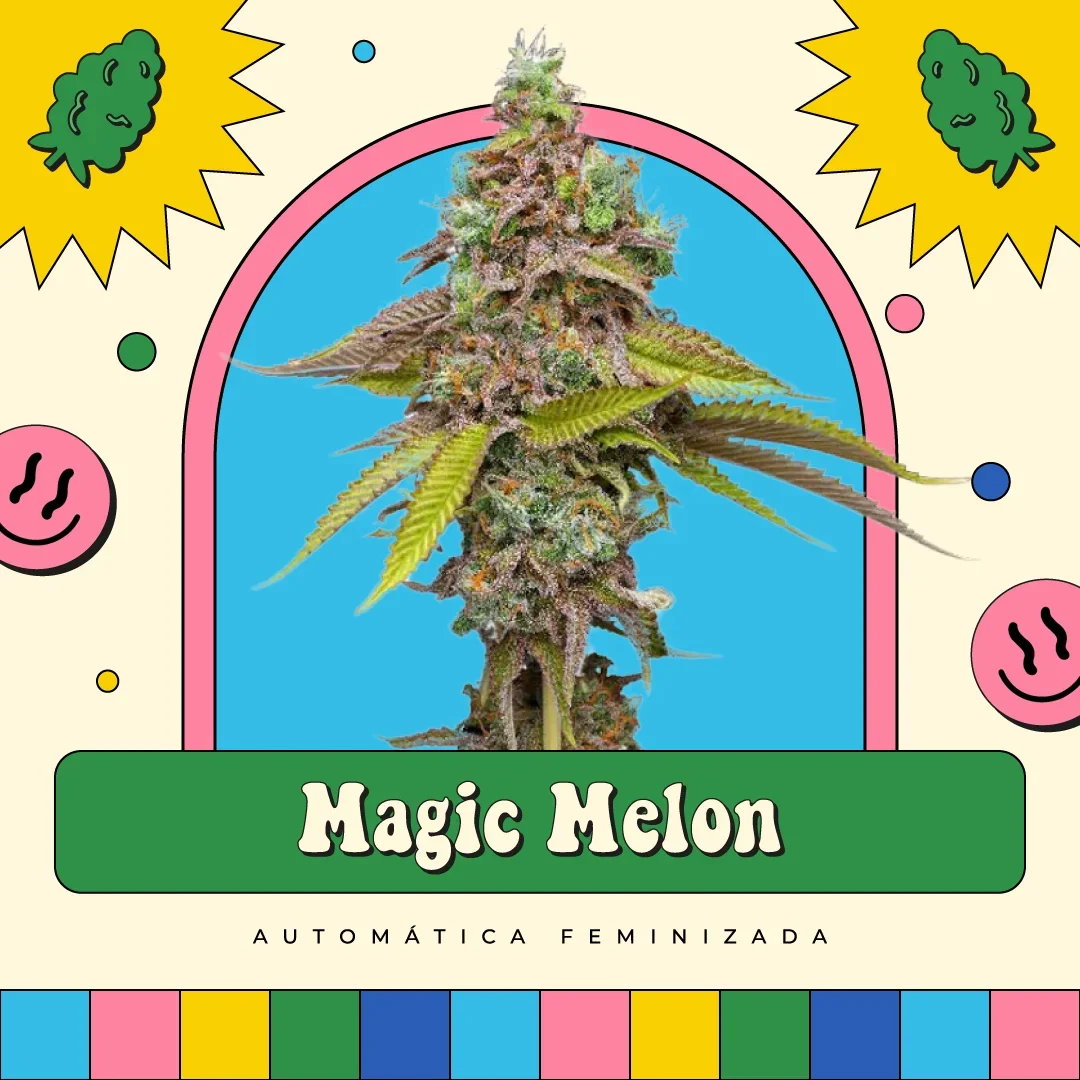 Magic Melon
