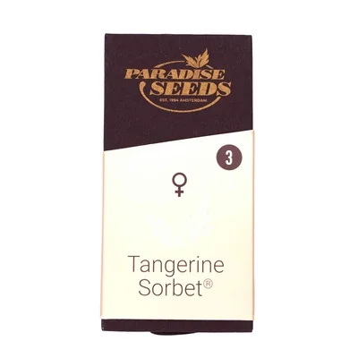 Tangerine Sorbet