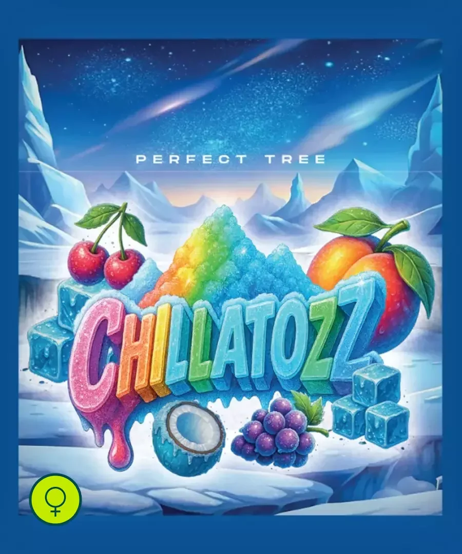 Chillatozz