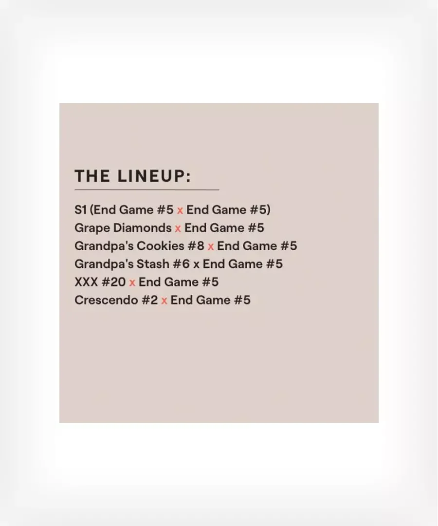 End Game 5 Multipack 2