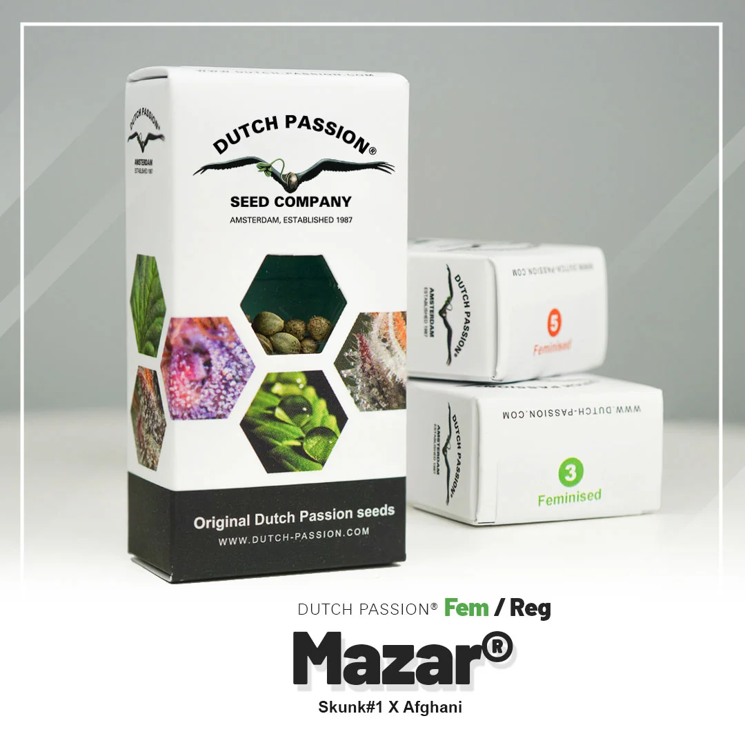 Mazar