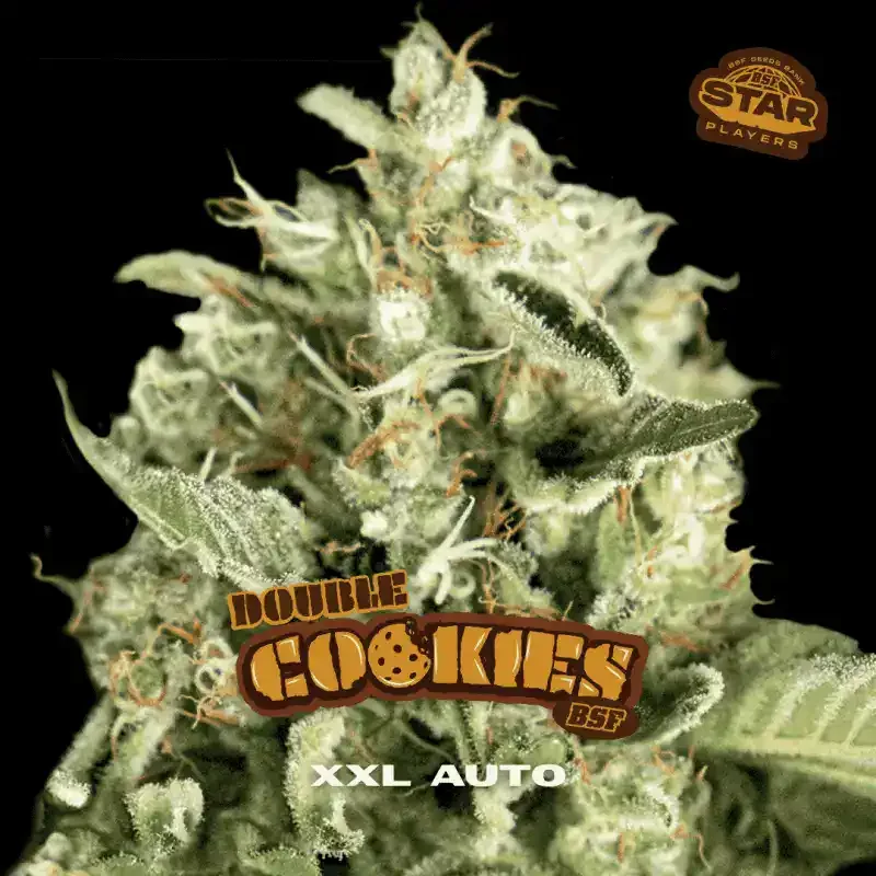 Double Cookies