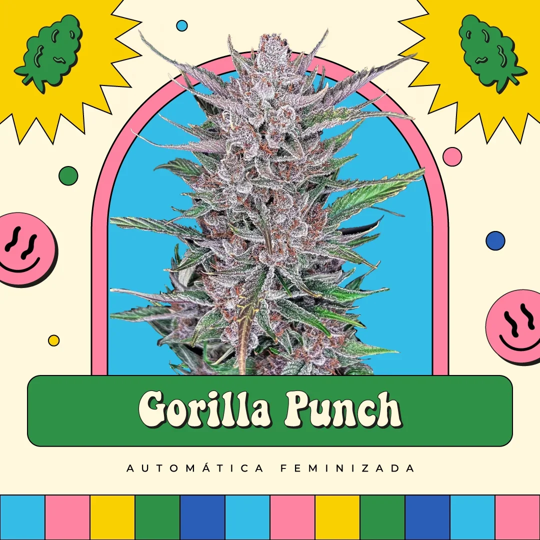 Gorilla Punch